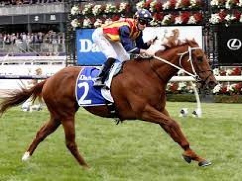 Leading New Zealand bloodstock agent Paul Willetts On His 20 ... Image 2